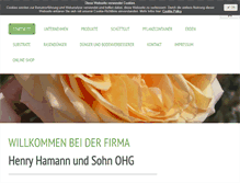 Tablet Screenshot of henryhamann.de